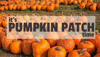 Pumpkin Patch