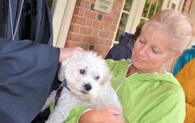 Blessing of the Animals