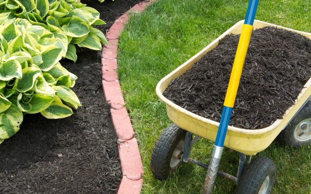 mulch and yard tools