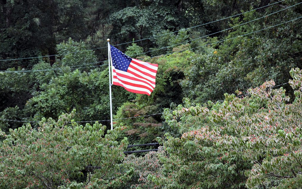 flag in trees