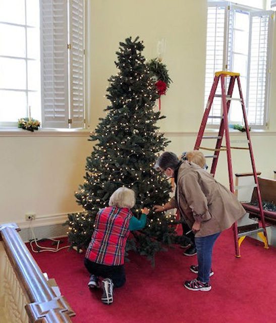 decorating the sanctuary tree