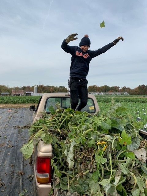 boy jumping in truck full of vegetables