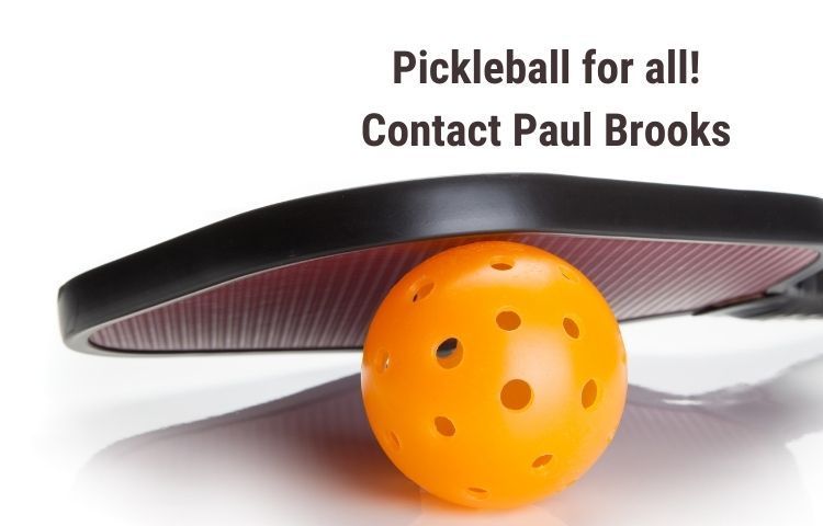 pickleball paddle and ball