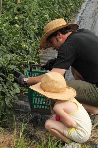 Serving at Shalom Farms